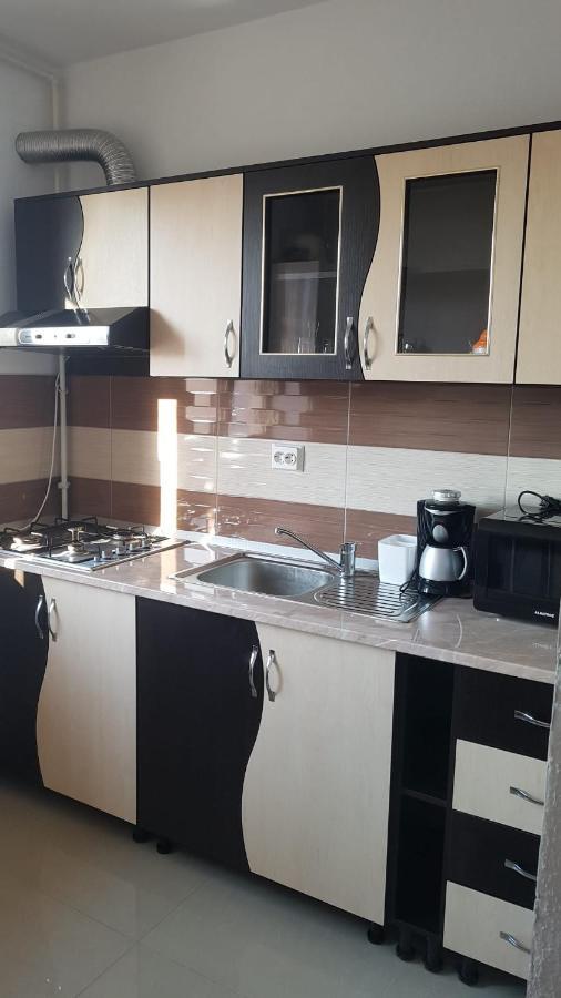 Apartament Teo Caransebeş Exteriér fotografie